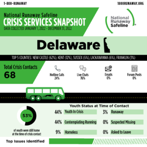 delaware 2022 c 61086539