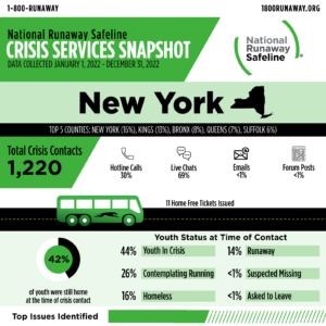 new york 2022 c 61293325